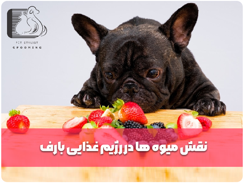 نقش میوه ها در رژیم غذایی بارف